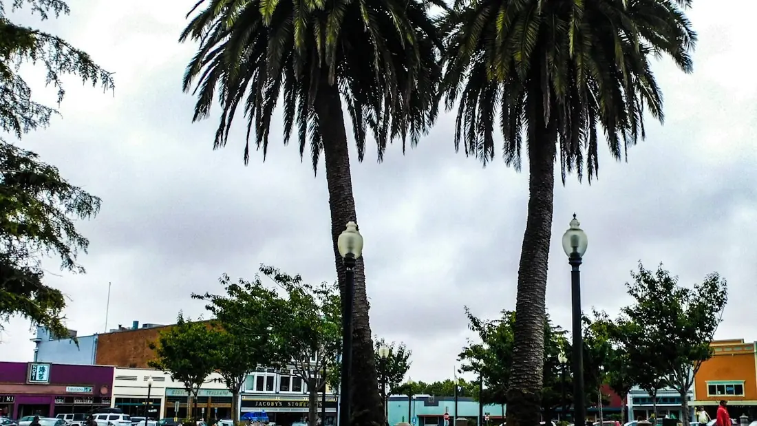 Arcata, California